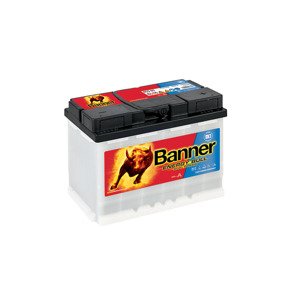 Banner Energy Bull 12V 60Ah 95501