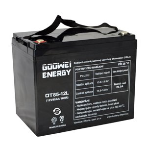 GOOWEI ENERGY 12V/85Ah OTL85-12