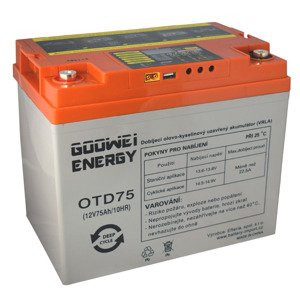 DEEP CYCLE GEL GOOWEI ENERGY OTD75 12V 75Ah