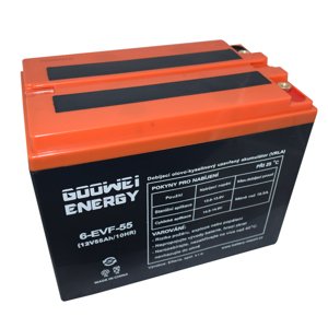 Trakčná (GEL) batéria GOOWEI ENERGY 6-EVF-55, 55Ah, 12V