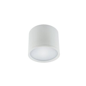 LED svietidlo, stropné, 3W, neutrálna biela, STRÜHM, ROLEN