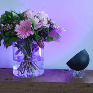 LED svietidlo , prenosné , stolné , 9.5W , RGB , CCT , stmievateľné , čierne , LUTEC CONNECT , GLOBE